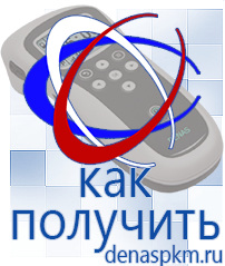 Официальный сайт Денас denaspkm.ru Выносные электроды Дэнас-аппликаторы в Северодвинске